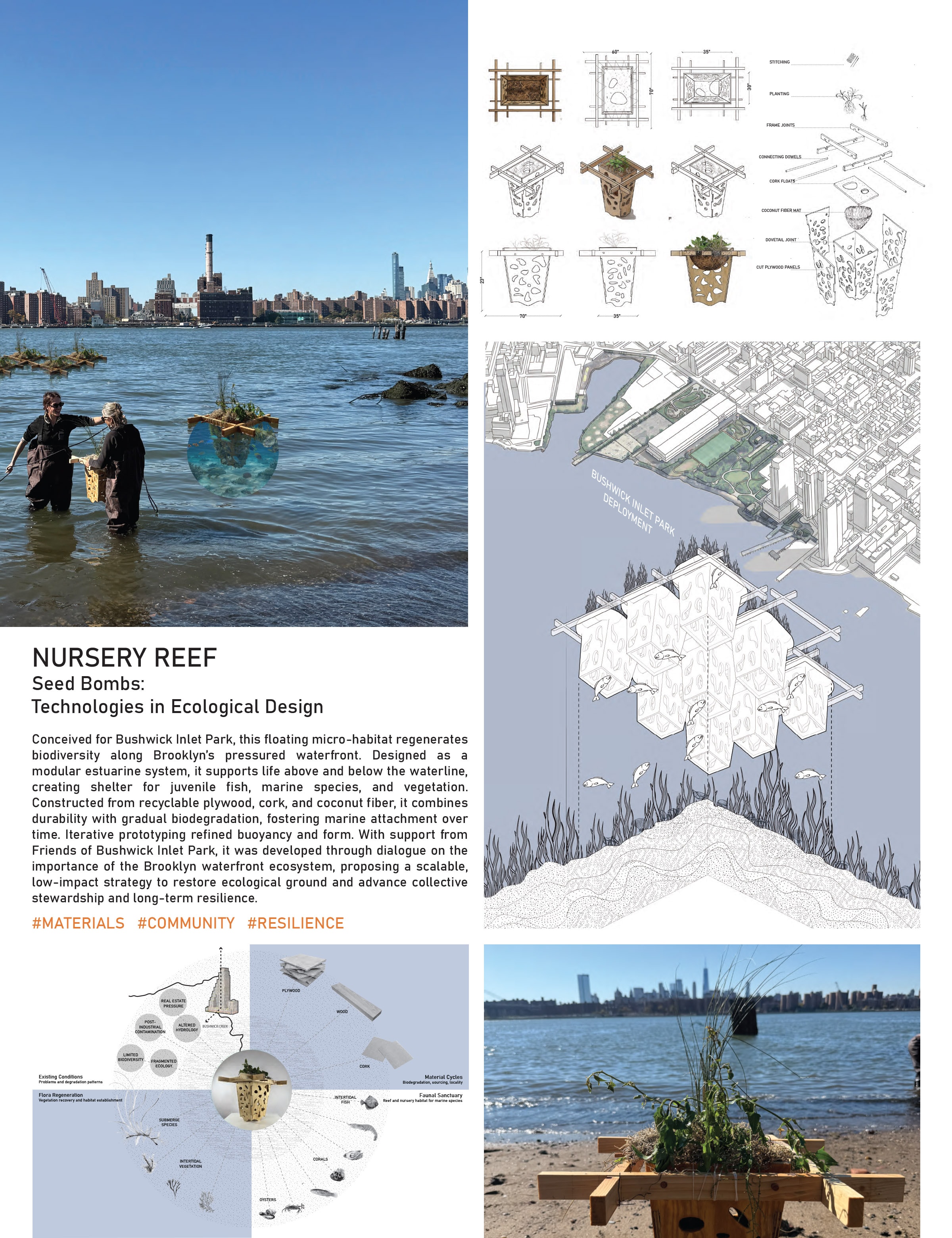 Nursery Reef – Seed Bombs